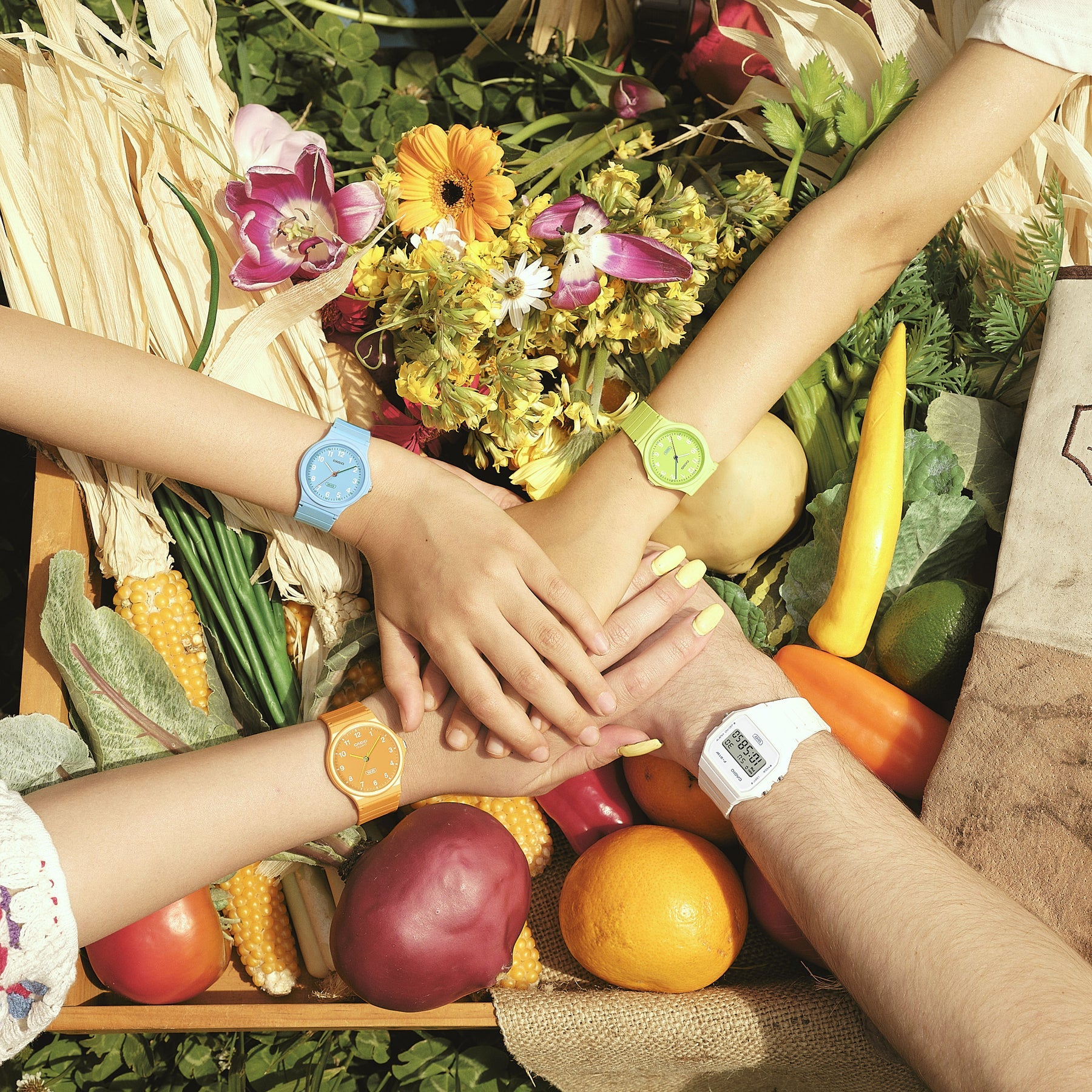 Casio Vintage MQ24B-9B