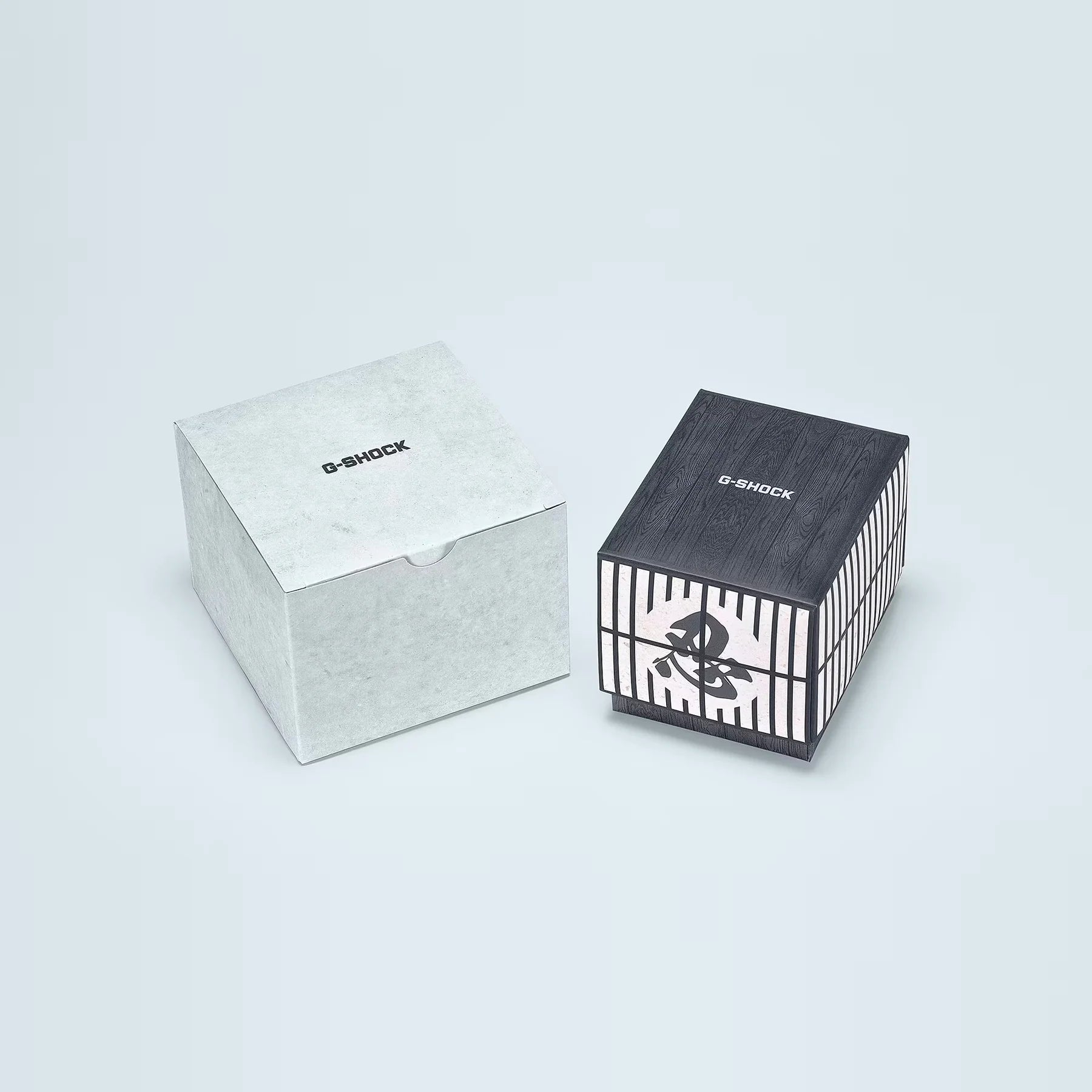 G-Shock Digital Series DW5600NNJ-2D